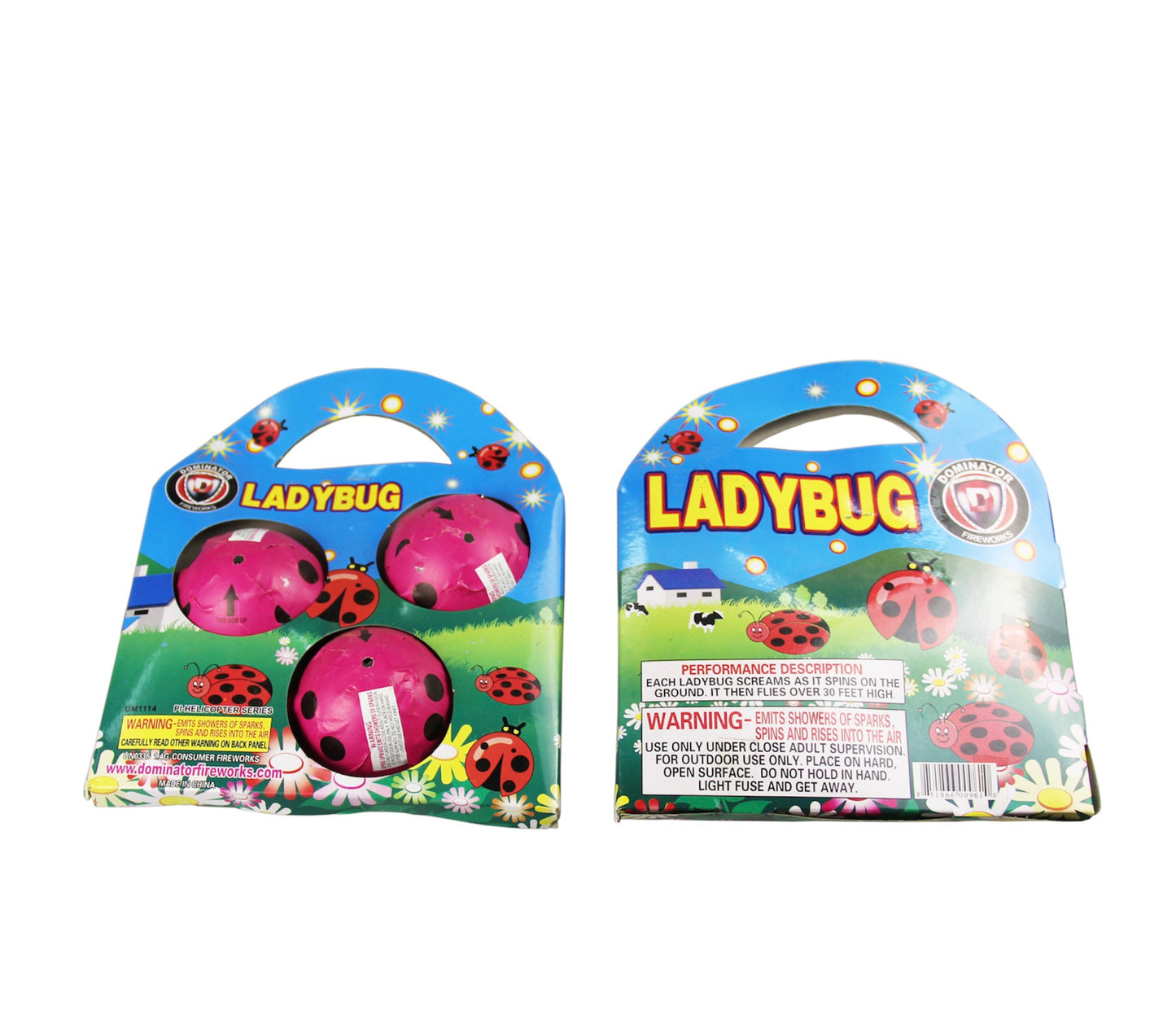 LADYBUGS